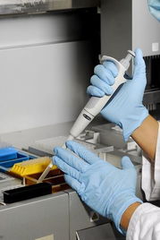 萊茵技術(shù)商檢青島食品實(shí)驗(yàn)室 技術(shù)交流與創(chuàng)新發(fā)展